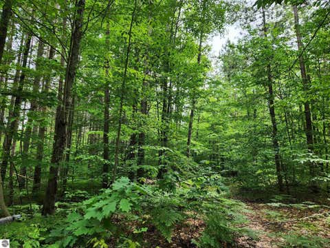 Tiny photo for 5364 Blue Lake Road, Ne, Kalkaska, MI 49646 (MLS # 1946814)