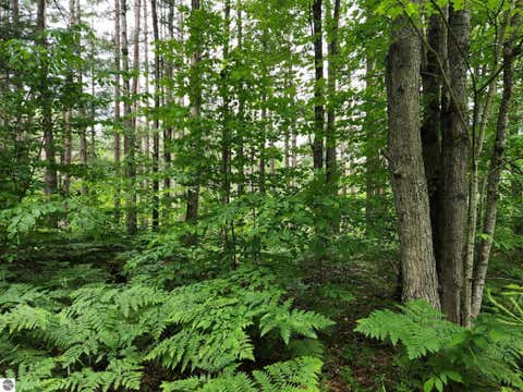 Tiny photo for 5364 Blue Lake Road, Ne, Kalkaska, MI 49646 (MLS # 1946814)