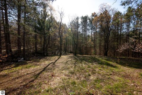 Tiny photo for 10846 Bluff Drive, Mancelona, MI 49659 (MLS # 1945382)