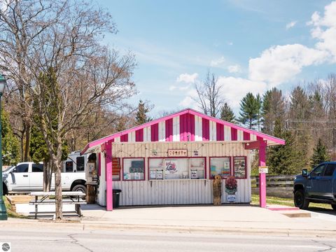 Tiny photo for 119 Maple Street, Fife Lake, MI 49633 (MLS # 1942833)