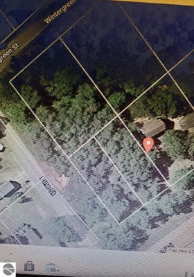 WINTERGREEN ST, EAST TAWAS, MI 48730 - Image 7dfcf9a186cb24bf20e53fcfc08a7ec2/2981565345