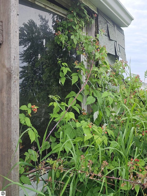 Tiny photo for 2353 W Rosebush Road, Weidman, MI 48893 (MLS # 1947709)
