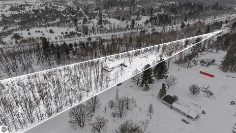 Tiny photo for 11387 210th Avenue, Leroy, MI 49655 (MLS # 1942117)