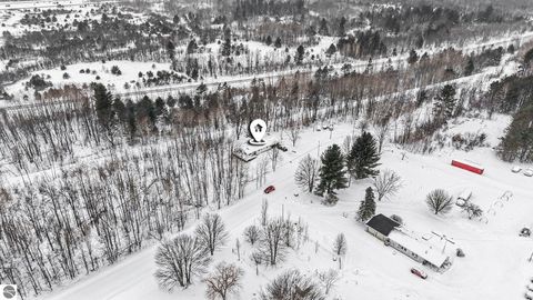 Tiny photo for 11387 210th Avenue, Leroy, MI 49655 (MLS # 1942117)