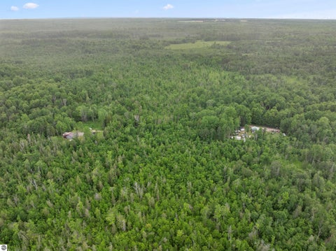 Tiny photo for 9124 Jyla Lane SE LN, Kalkaska, MI 49646 (MLS # 1946745)