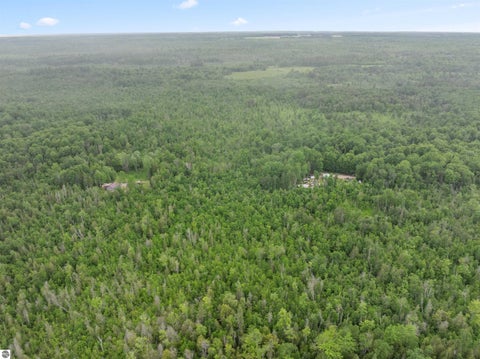 Tiny photo for 9124 Jyla Lane SE LN, Kalkaska, MI 49646 (MLS # 1946745)