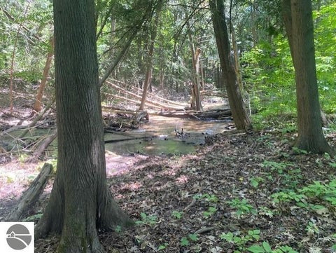 Tiny photo for 6865 Pinebrook Drive #10, Bellaire, MI 49615 (MLS # 1947028)