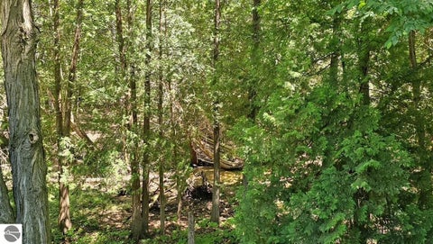 Tiny photo for 6865 Pinebrook Drive #10, Bellaire, MI 49615 (MLS # 1947028)