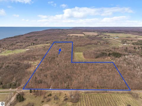 Tiny photo for 3528 Potter Road, Bear Lake, MI 49614 (MLS # 1944478)