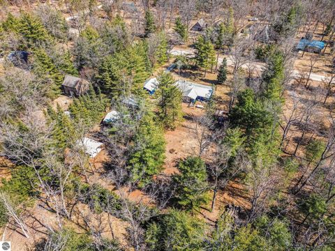 Tiny photo for 4457 Morawa Trail, Hale, MI 48739 (MLS # 1943379)