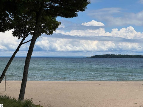 Tiny photo for 723 N Apple Tree Drive #18, Suttons Bay, MI 49682 (MLS # 1947202)
