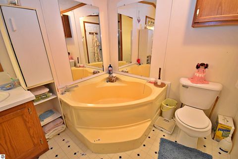 Tiny photo for 16608 12 Mile Road, Leroy, MI 49655 (MLS # 1944575)