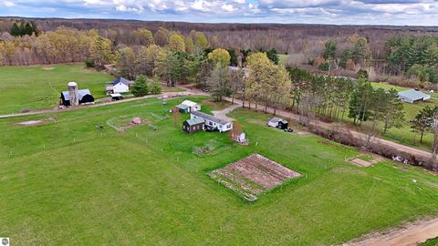 Tiny photo for 16608 12 Mile Road, Leroy, MI 49655 (MLS # 1944575)