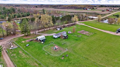 Tiny photo for 16608 12 Mile Road, Leroy, MI 49655 (MLS # 1944575)