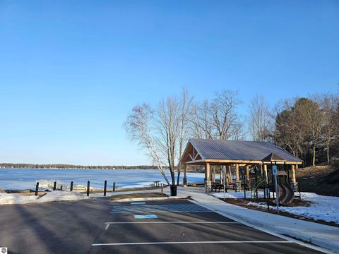 Tiny photo for 221 S Baldwin Street, Lake City, MI 49651 (MLS # 1942842)