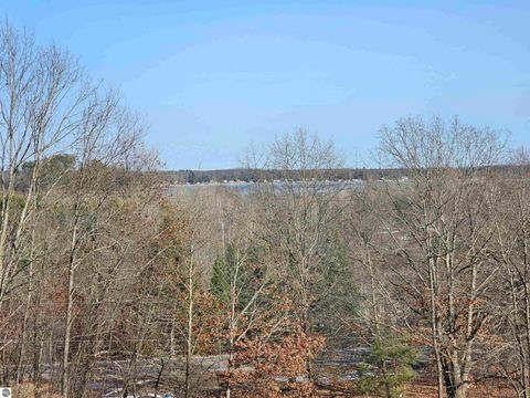 Tiny photo for 221 S Baldwin Street, Lake City, MI 49651 (MLS # 1942842)