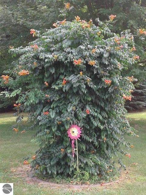 Tiny photo for 811 E Huron Street, East Jordan, MI 49727 (MLS # 1942226)