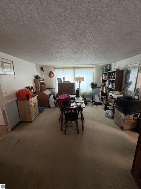 Tiny photo for 205 E Barber Street, Ithaca, MI 48847 (MLS # 1941800)