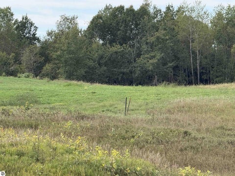 Tiny photo for 531 Truman Road, Barryton, MI 49305 (MLS # 1950825)