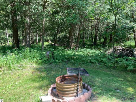 Tiny photo for 3408 McKellar Road, Rose City, MI 48654 (MLS # 1948449)