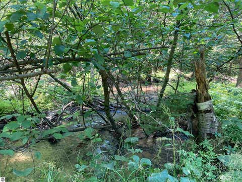 Tiny photo for 3408 McKellar Road, Rose City, MI 48654 (MLS # 1948449)