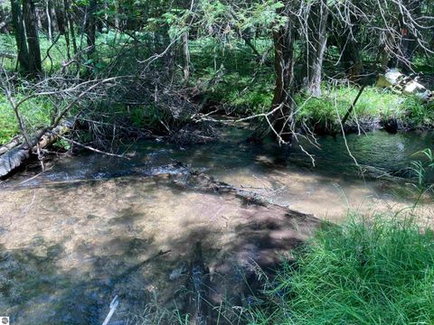 Tiny photo for 3408 McKellar Road, Rose City, MI 48654 (MLS # 1948449)