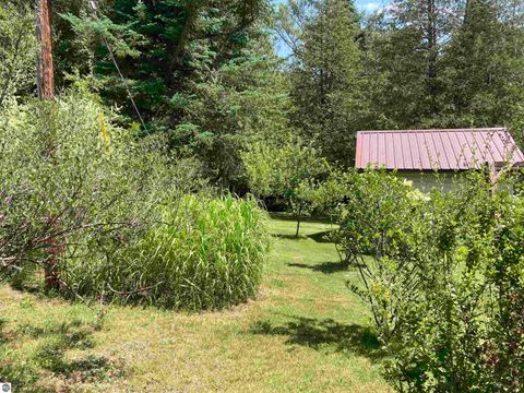 Tiny photo for 3408 McKellar Road, Rose City, MI 48654 (MLS # 1948449)