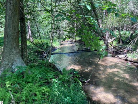 Tiny photo for 3408 McKellar Road, Rose City, MI 48654 (MLS # 1948449)