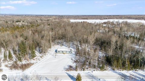 Tiny photo for 8470 Ora Lake Road, Hale, MI 48739 (MLS # 1942243)
