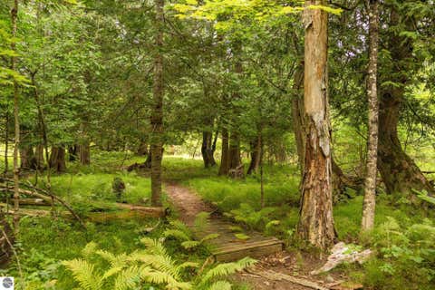 Tiny photo for 13045 SW Coster Road, Fife Lake, MI 49633 (MLS # 1949726)