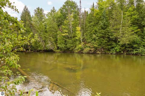 Tiny photo for 13045 SW Coster Road, Fife Lake, MI 49633 (MLS # 1949726)