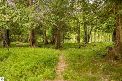 Tiny photo for 13045 SW Coster Road, Fife Lake, MI 49633 (MLS # 1949726)