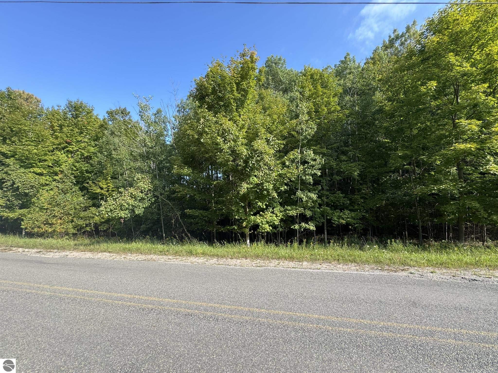 Photo 1 of 12 — Lot 4 E Old Mountain Road, Cedar, MI 49621