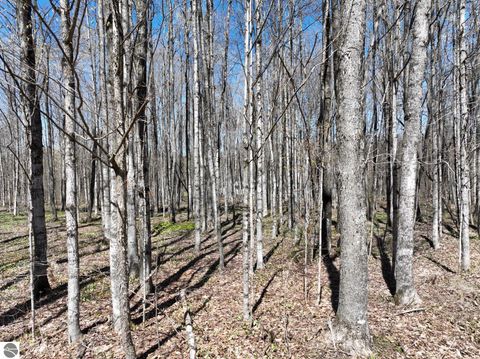 Tiny photo for 7931 NE Twin Lake Road, Mancelona, MI 49659 (MLS # 1945019)
