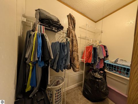 Tiny photo for 6930 E Willard Road, Vestaburg, MI 48891 (MLS # 1942992)