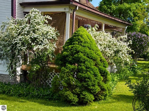 Tiny photo for 325 Spruce Street, Traverse City, MI 49684 (MLS # 1947865)