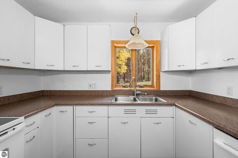 Tiny photo for 6828 E Lincoln Road, Cedar, MI 49621 (MLS # 1945132)