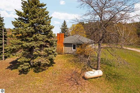 Tiny photo for 6828 E Lincoln Road, Cedar, MI 49621 (MLS # 1945132)