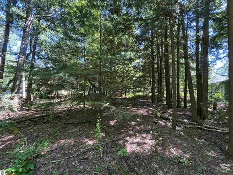 Tiny photo for 0 Timber Lake Drive, Elk Rapids, MI 49629 (MLS # 1947700)