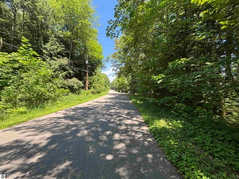 Tiny photo for 0 Timber Lake Drive, Elk Rapids, MI 49629 (MLS # 1947700)