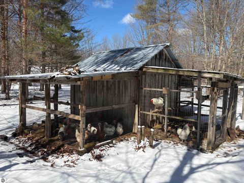 Tiny photo for 9891 Glovers Lake Road, Bear Lake, MI 49614 (MLS # 1943058)