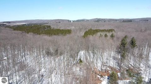 Tiny photo for 9891 Glovers Lake Road, Bear Lake, MI 49614 (MLS # 1943058)