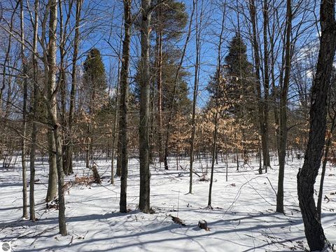 Tiny photo for 9891 Glovers Lake Road, Bear Lake, MI 49614 (MLS # 1943058)