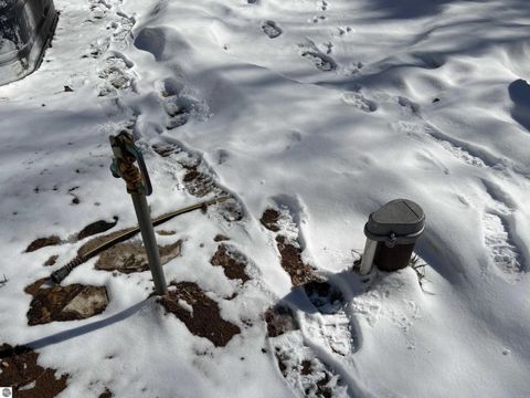 Tiny photo for 9891 Glovers Lake Road, Bear Lake, MI 49614 (MLS # 1943058)