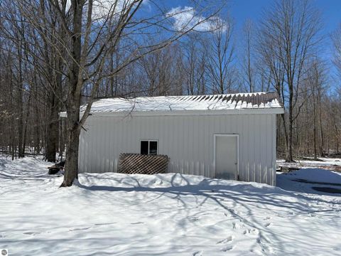 Tiny photo for 9891 Glovers Lake Road, Bear Lake, MI 49614 (MLS # 1943058)