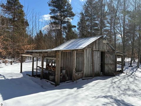 Tiny photo for 9891 Glovers Lake Road, Bear Lake, MI 49614 (MLS # 1943058)