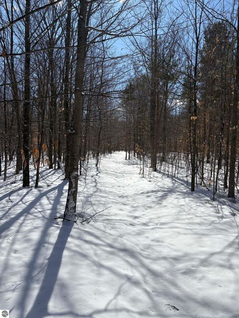 Tiny photo for 9891 Glovers Lake Road, Bear Lake, MI 49614 (MLS # 1943058)