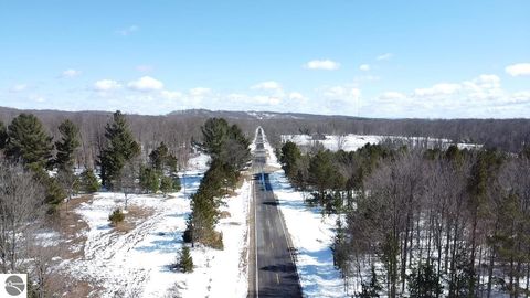 Tiny photo for 9891 Glovers Lake Road, Bear Lake, MI 49614 (MLS # 1943058)
