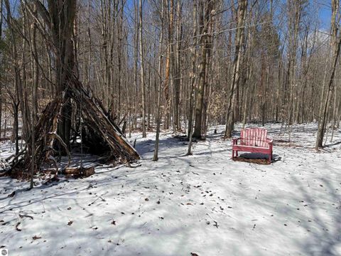 Tiny photo for 9891 Glovers Lake Road, Bear Lake, MI 49614 (MLS # 1943058)