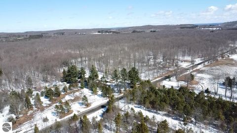 Tiny photo for 9891 Glovers Lake Road, Bear Lake, MI 49614 (MLS # 1943058)